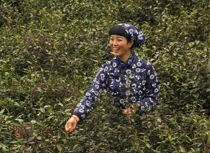 百丽网站 热门5